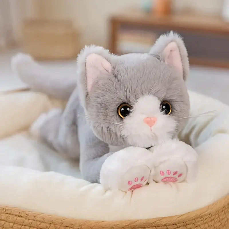Grey Cat Plush