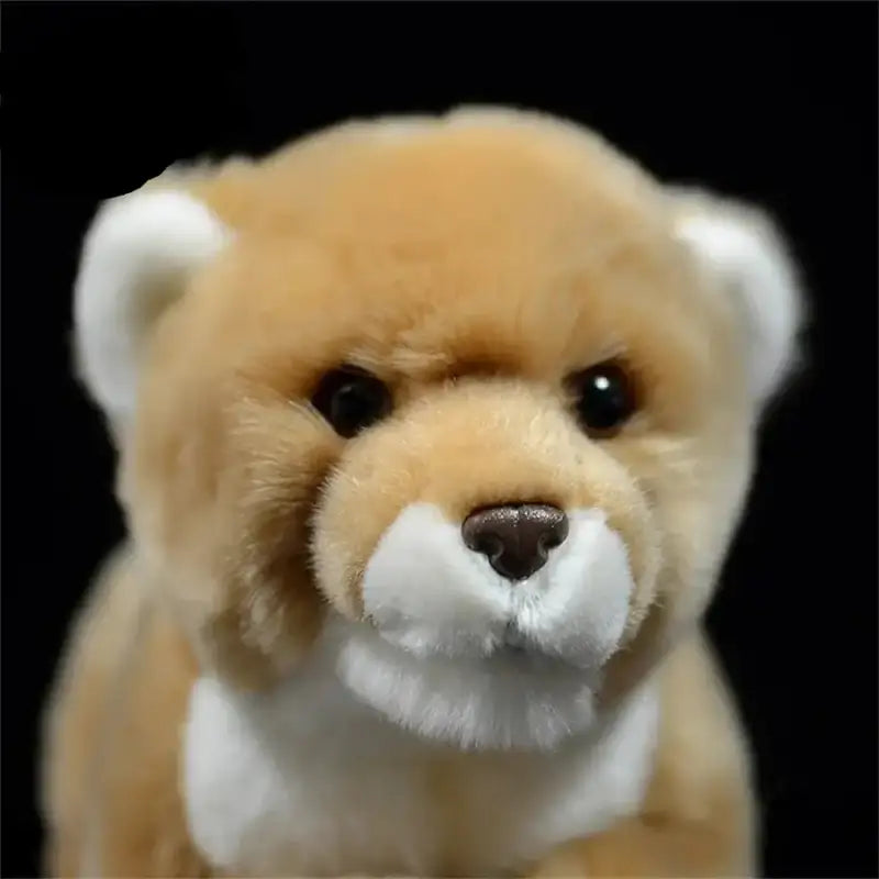 Lion Cub Plush