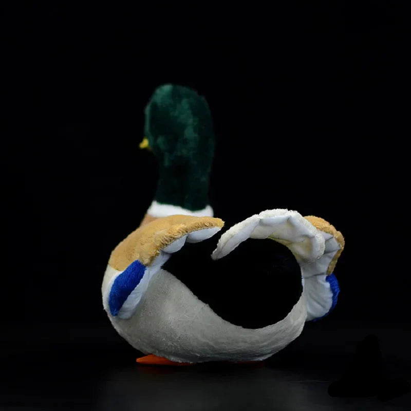 Plush Mallard