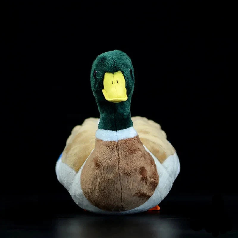 Plush Mallard