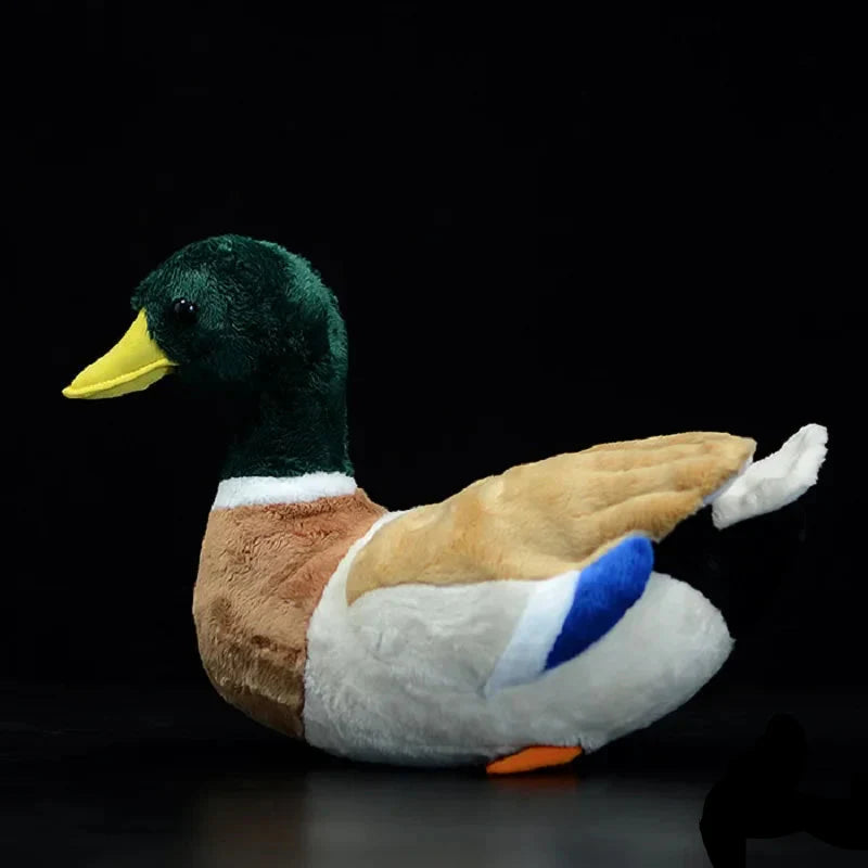 Plush Mallard