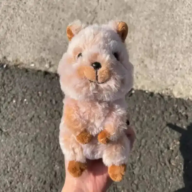 Quokka Plush