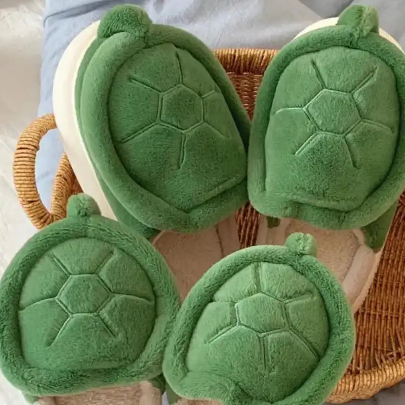 Turtle Slippers