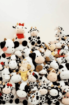 Black and white cow plush toy collection.