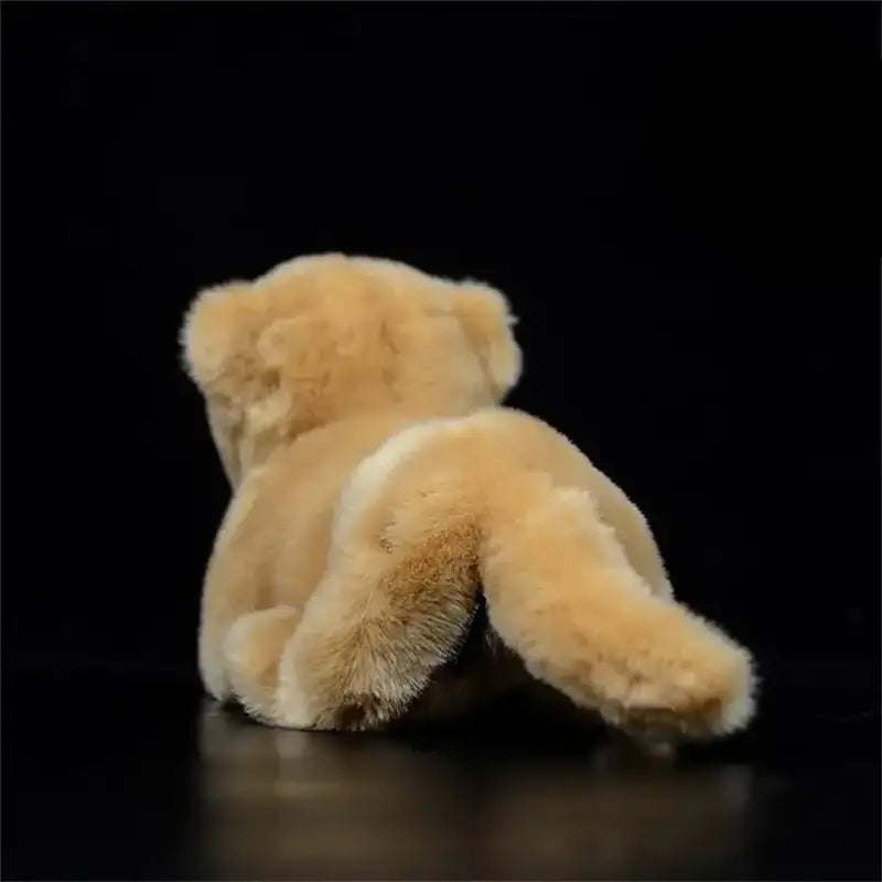 Lion Cub Plush