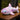 rainbow shark plush