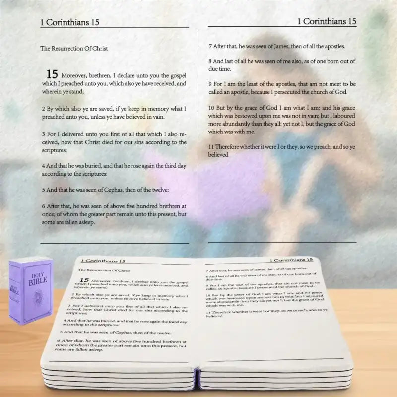 plush bible - Violet-Corinthians15