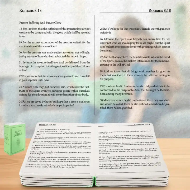 plush bible - Green-Romans 8-18