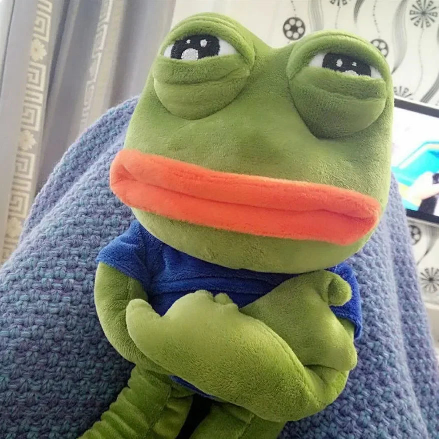 Sad Frog Plush 