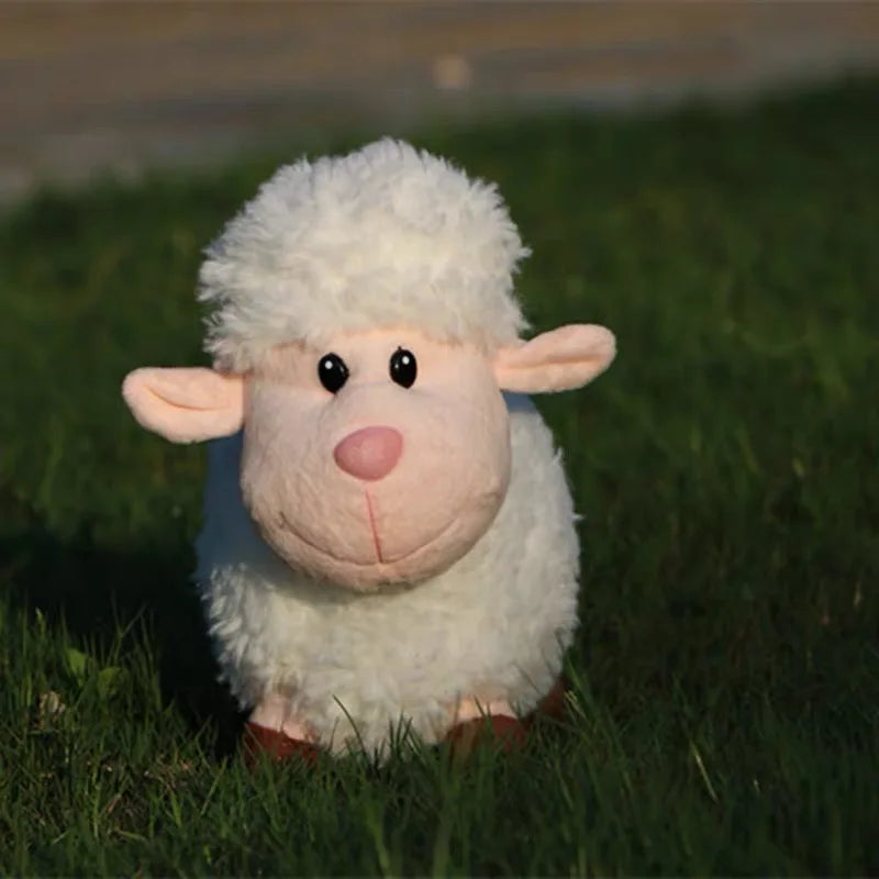 cute little sheep plush