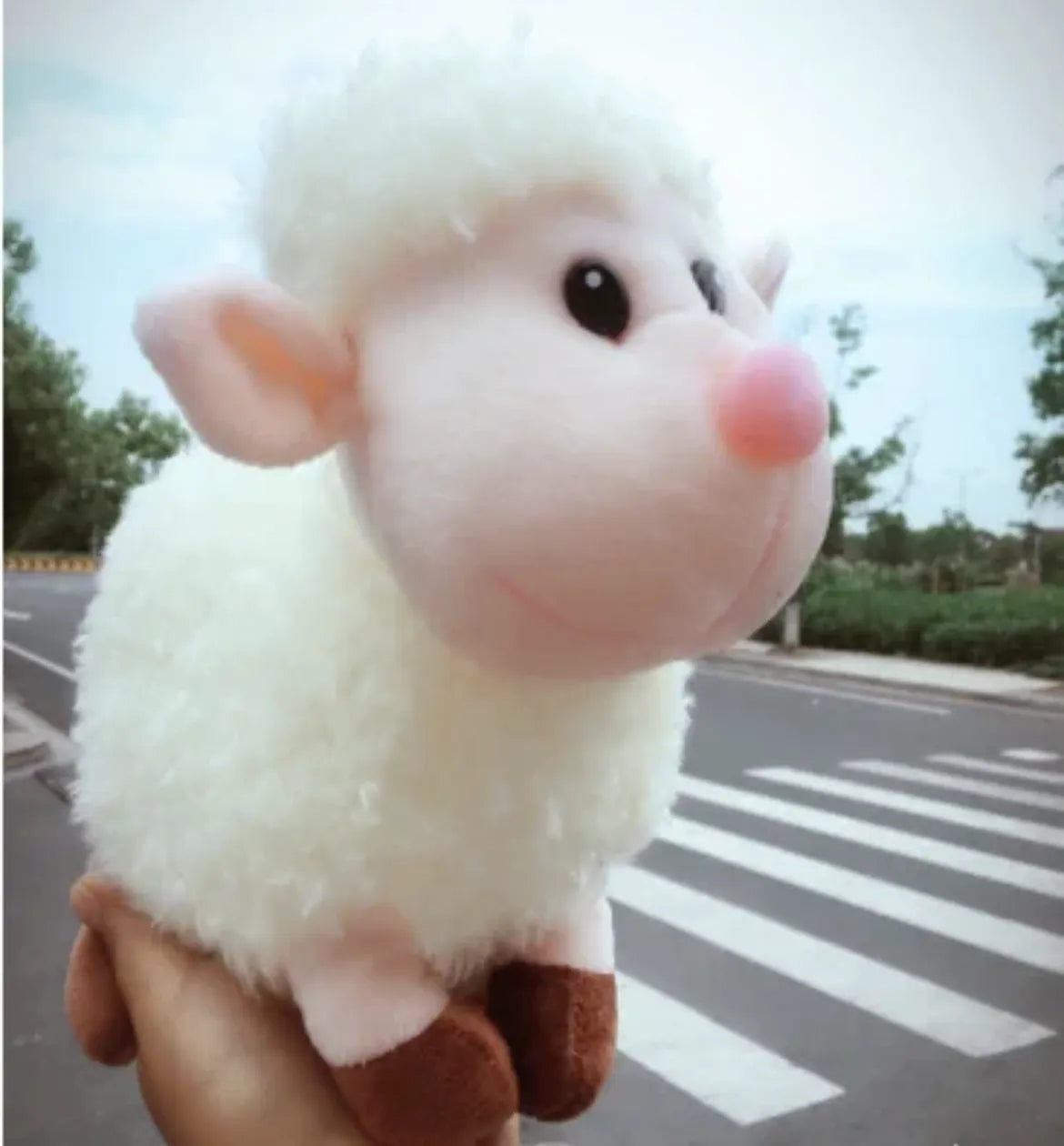 cute little sheep plush