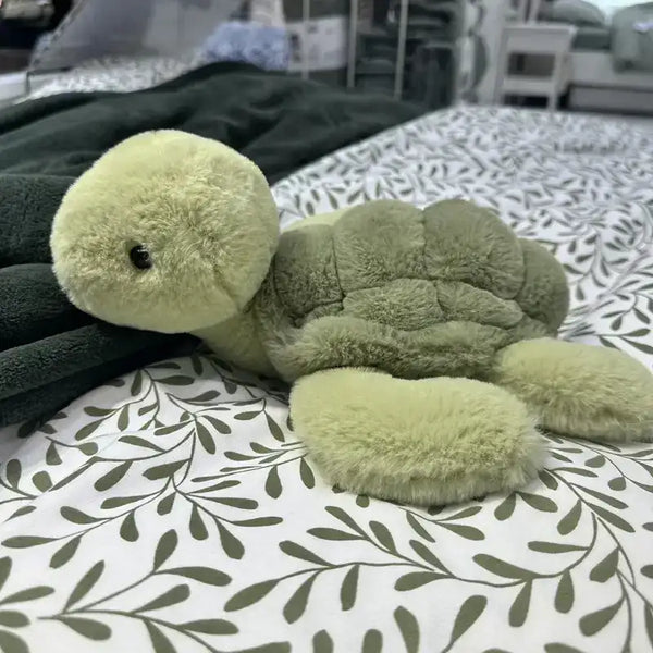 Small Plush Turtle