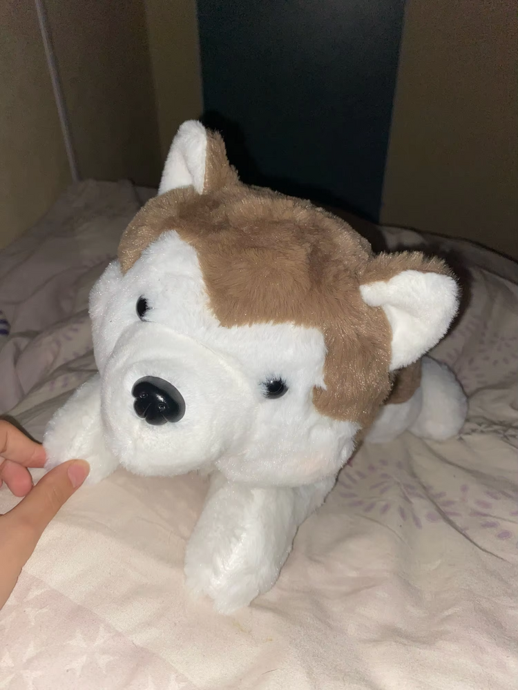 Stuffed husky dog toy.