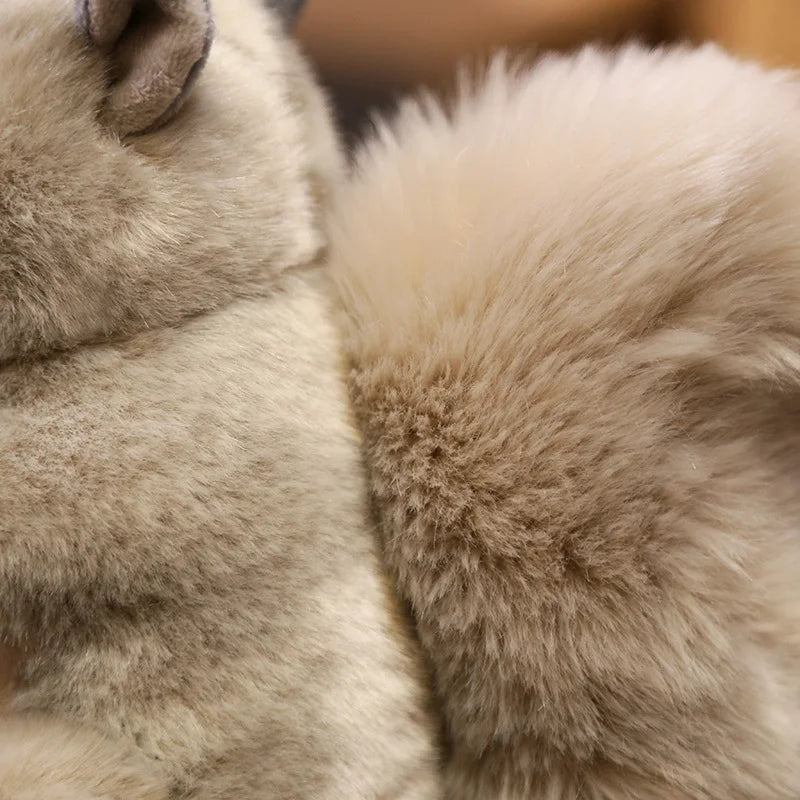 Stuffed Toy Squirrel