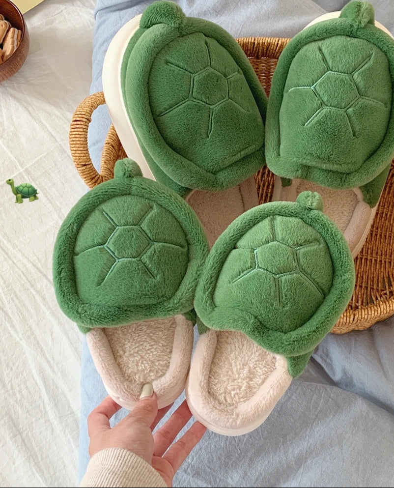 Turtle Slippers